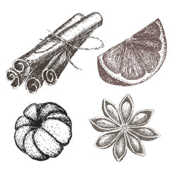 Set of Christmas decoration with orange, cinnamon and star anise.