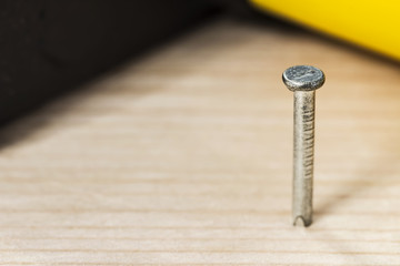 hobnail / metal nail in wood