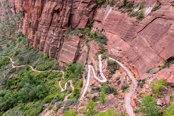 Hiking Trail in Zion