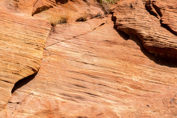 Fototapeta na wymiar Red Rock Wall in Zion National Park