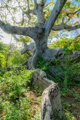 Hofi Pastor Nature Park