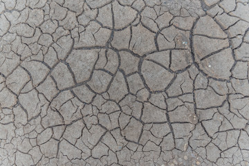 Cracked clay ground into the dry season