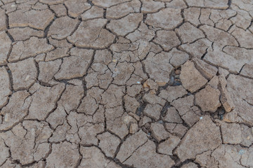 Cracked clay ground into the dry season