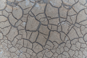 Cracked clay ground into the dry season