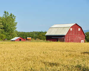 Red Barn