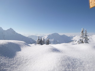 Fototapeta premium Winterwonderland