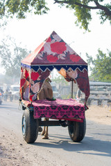 camel market Pushkar festival india street life and street food snacks