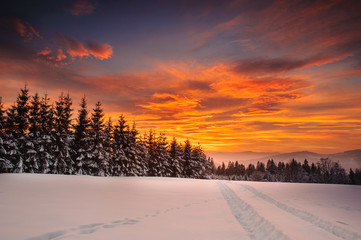 Winter sunset in the Polish beskid mountains.This photo was shouted in 2016 year on stecówka...