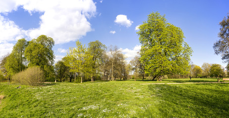 Frühling im Park