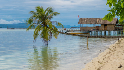Coconut Palms near Diving Station on Kri Island, Raja Ampat, Indonesia, West Papua