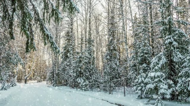 stylized drawing, CINEMAGRAPH, 4k, falling snow in the winter forest, loop