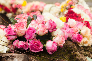 Pattern roses background