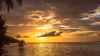 Obraz premium Stand up paddler SUP on Sunset, Kri Island. Raja Ampat, Indonesia, West Papua