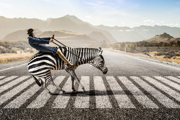 Businesswoman ride zebra . Mixed media