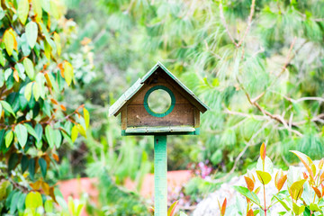 Bird House