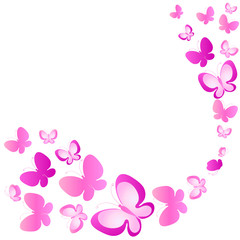 color butterflies,isolated on a white