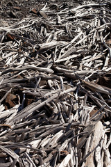 Pieces of driftwood