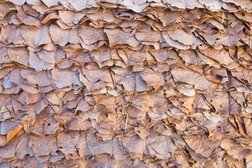 Wall made from leaf in rural.