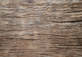 Naklejka premium Wood Background