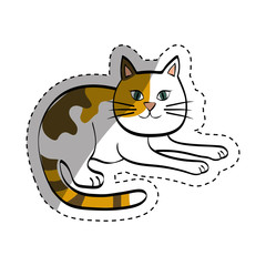 Cute cat cartoon icon vector illustration graphic design