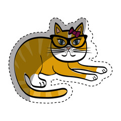 Cute cat cartoon icon vector illustration graphic design