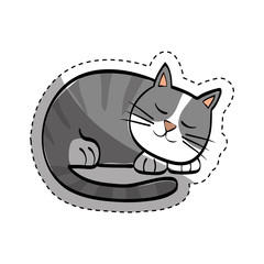 Cute cat cartoon icon vector illustration graphic design