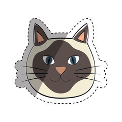 Cute cat cartoon icon vector illustration graphic design