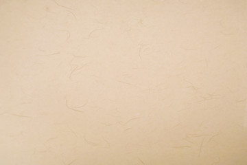 和紙素材 白 Wall Mural Wallpaper Murals Wallsheaven Rrice