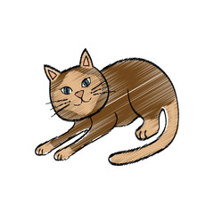 Cute cat cartoon icon vector illustration graphic design