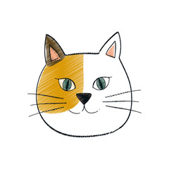 Cute cat cartoon icon vector illustration graphic design