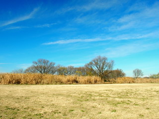 Obraz premium 冬枯れの河川敷風景