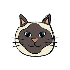 Cute cat cartoon icon vector illustration graphic design