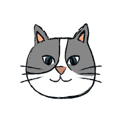 Cute cat cartoon icon vector illustration graphic design