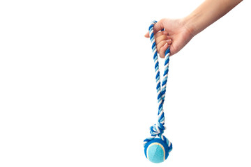 Hand holding a blue color dog rope. isolated on white background with clipping path and copy space