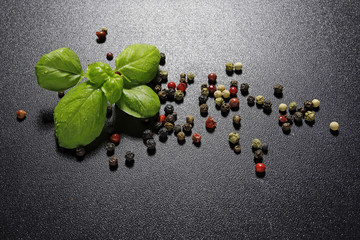 colorful peppercorns and basil leaves on black background
