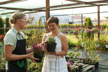 Florist demonstrating flowers in a pot