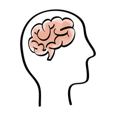Human brain and head silhouette icon vector illustration graphic design