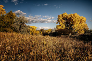 Fototapeta na wymiar Fall New Mexico