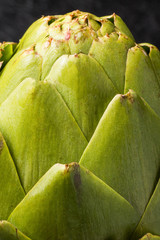 Fototapeta premium アーティチョーク 食用あざみ Artichoke