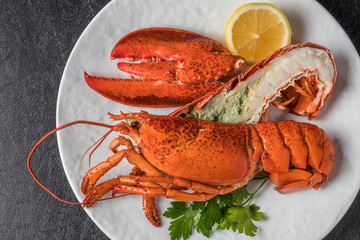 高級ロブスター　 High-quality lobster