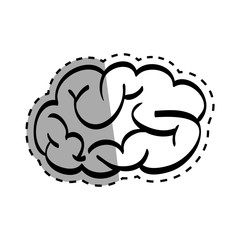 Human brain scribble icon vector illustration graphic design