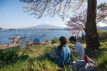 Fototapeta premium A couple is having a picnic under Cherry Blossom tree with Mount Fuji scene in Japan.