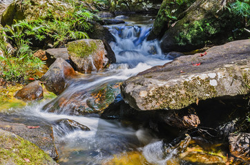 beautiful waterfall in green forest in jungle at  mountain