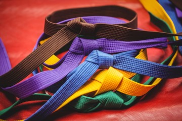 Multicoloured karate belts on red background © WavebreakmediaMicro