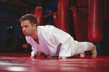 Karate player performing karate stance
