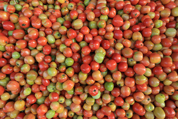 fresh tomato selling at street shop in nepal