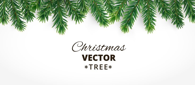 Horizontal banner with vector christmas tree branches and space 