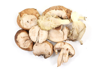 Row of sliced organic crimini or baby bella mushrooms