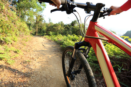riding mountain bike on forest trial