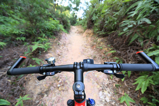 riding mountain bike on forest trial